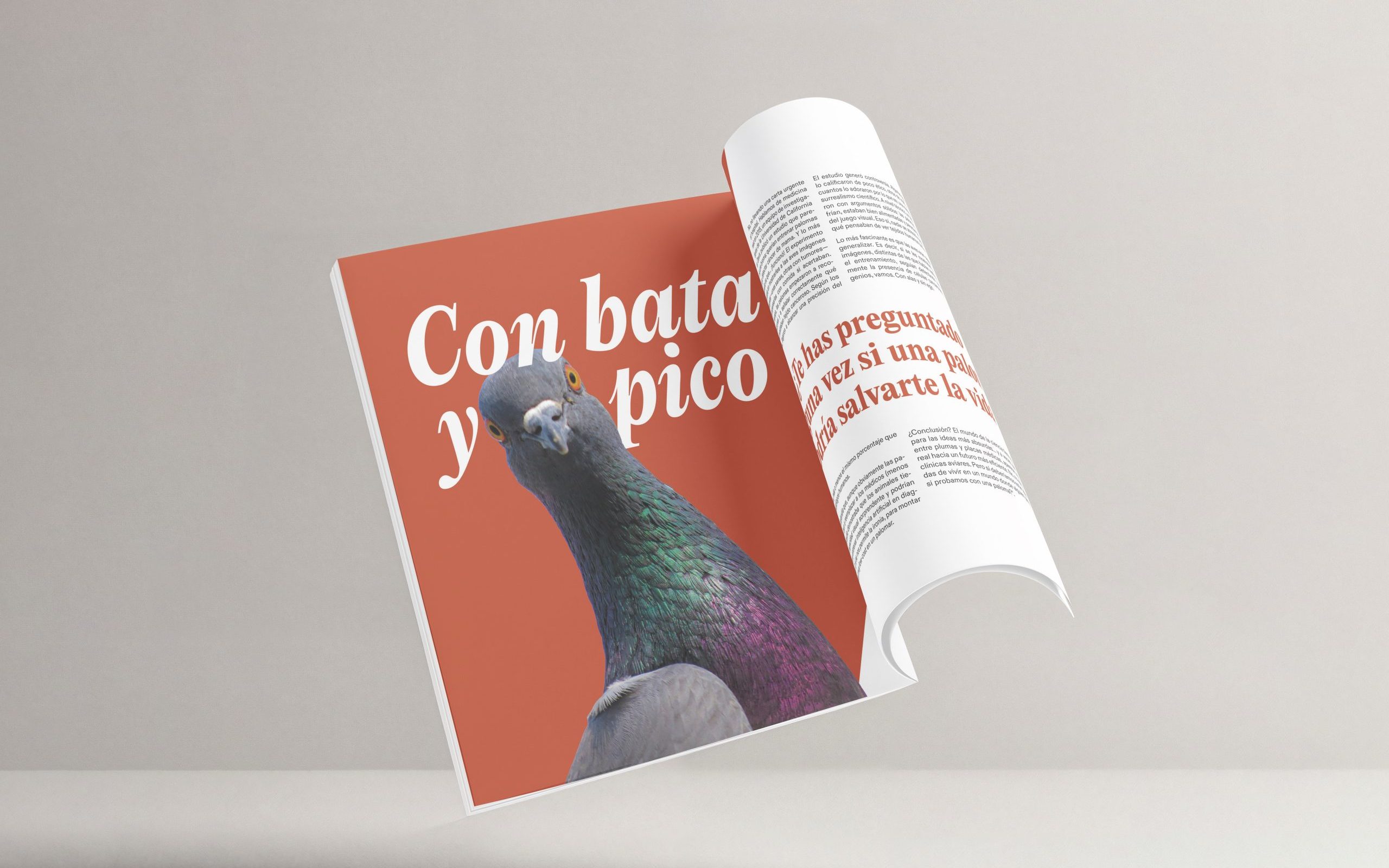 Montaje de la revista de curiosidades MOOI. Diseño de libros
