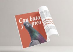Montaje de la revista de curiosidades MOOI. Diseño de libros